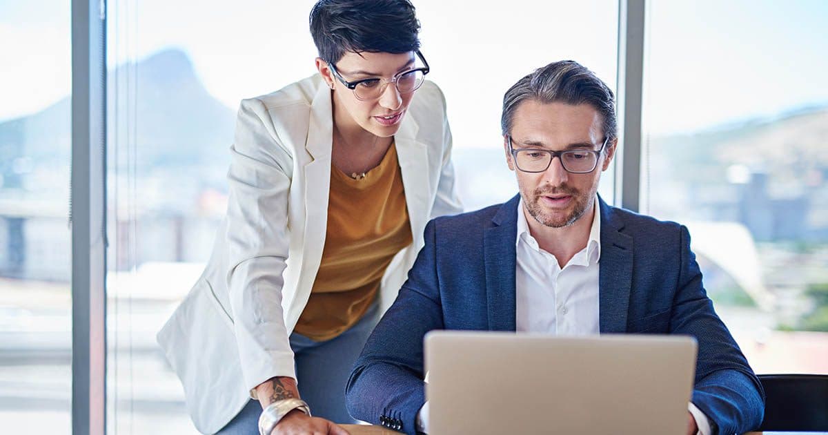 Business People Work on Their Software System