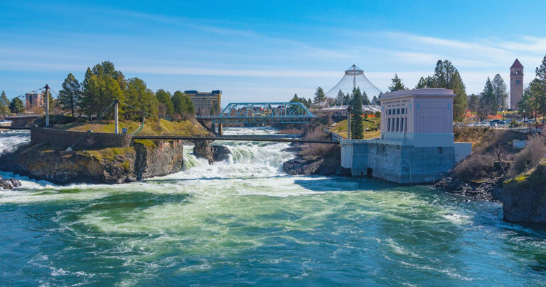 AS219079116