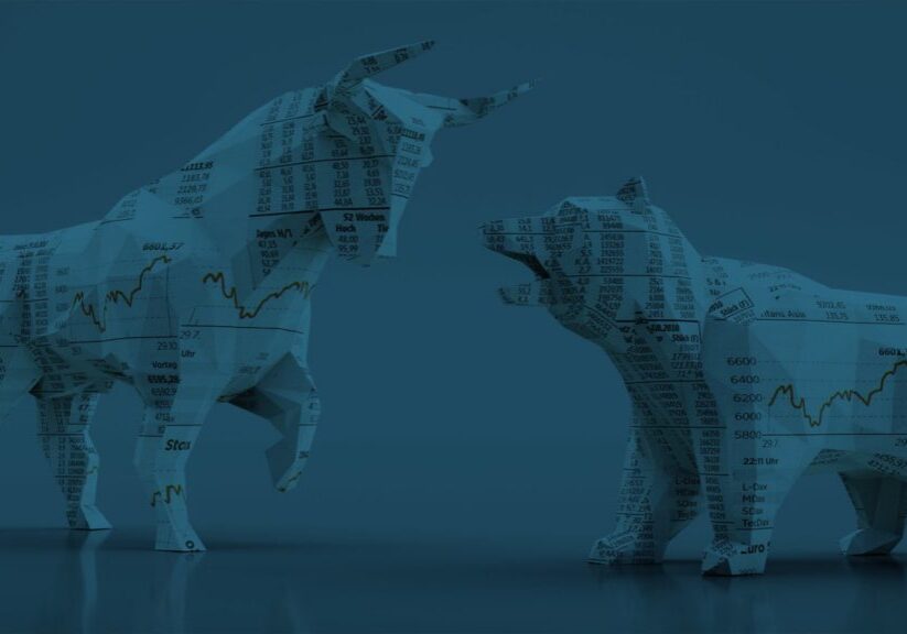 Fierce paper animals