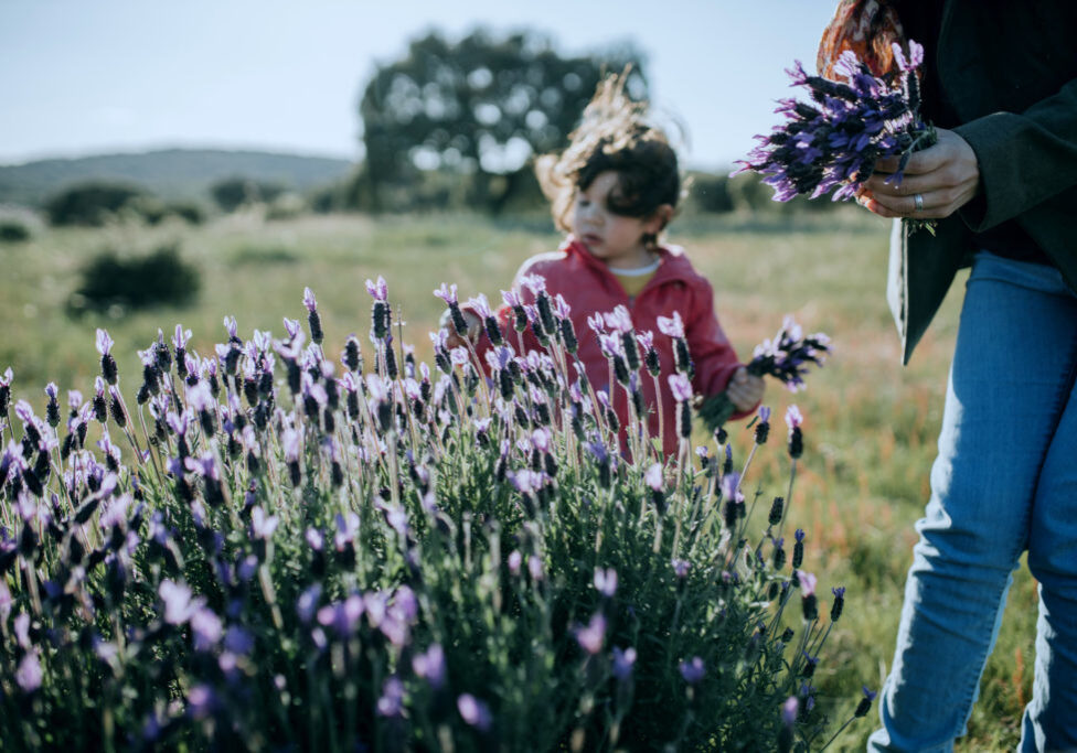 Rear View Of People On Field Against Purple Flowering Plants